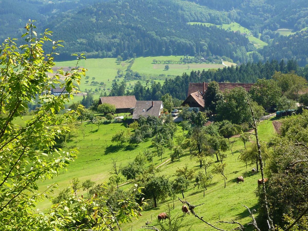 Ferienhaus Eck Villa Zell am Harmersbach Eksteriør billede