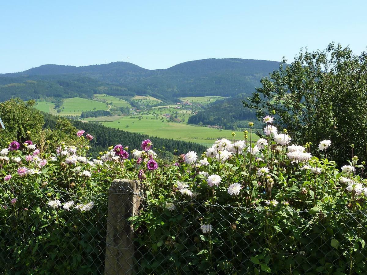 Ferienhaus Eck Zell am Harmersbach Eksteriør billede